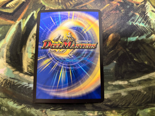 【訳アリ】奇石トランキー/アイ・オブ・ザ・タイガー(RP6 2/93)